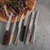 Wheel and Barrow Steak Knife Caffe 18/10 Stainless Steel 23Cm | Knives