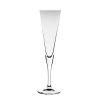 Wheel and Barrow Champagne Flute Ypsilon 150Ml | Champagne