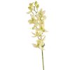 Wheel and Barrow Orchid Cymbidium Stem White & Green 76Cm | Artificial Florals