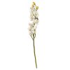 Wheel and Barrow Orchid Stem Cream 66Cm | Artificial Florals