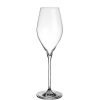 Wheel and Barrow Champagne Glass Grace 320Ml | Noir Collection