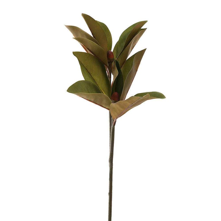 Wheel and Barrow Magnolia Leaf Stem 73Cm | Artificial Florals