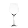 Wheel and Barrow Beaujolais Glass 465Ml Pure Schott | Pure Schott